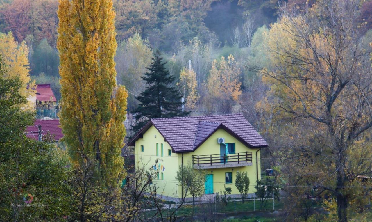 Pensiunea Happy Schitu Topolnitei Exterior photo
