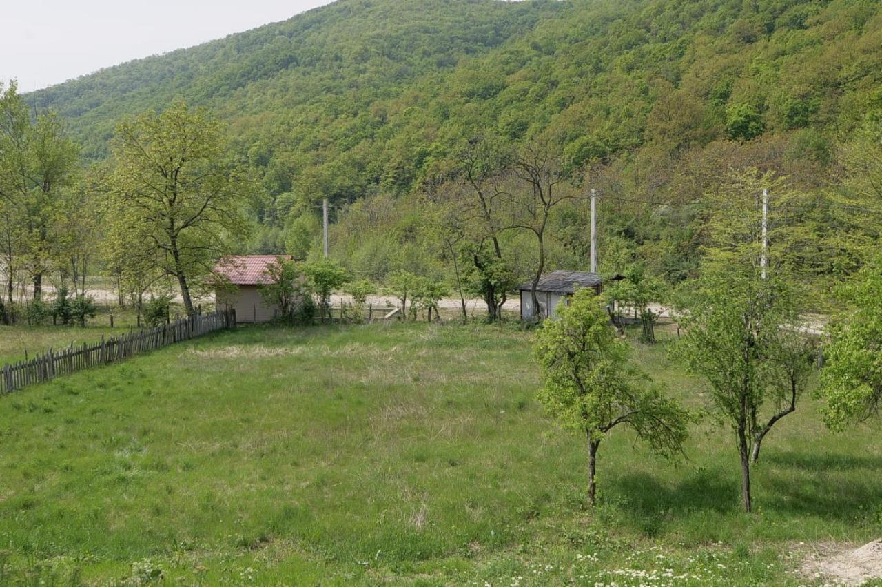 Pensiunea Happy Schitu Topolnitei Exterior photo