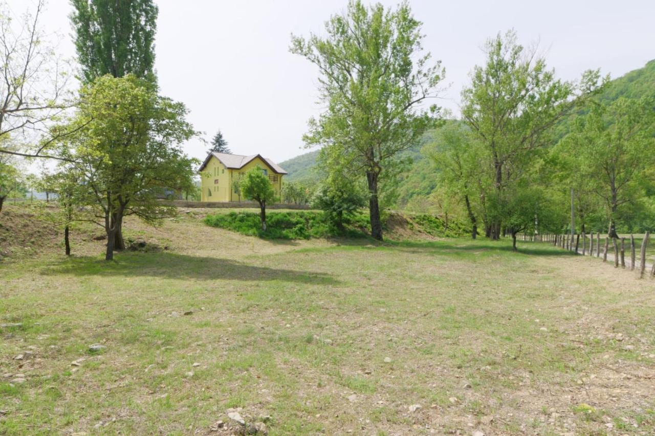 Pensiunea Happy Schitu Topolnitei Exterior photo